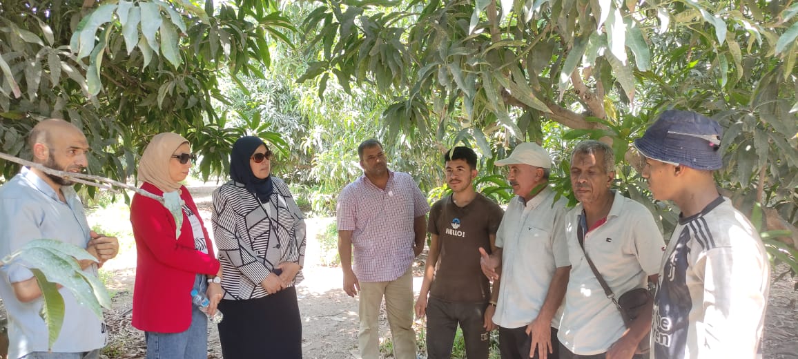 جانب من الحملة، فيتو