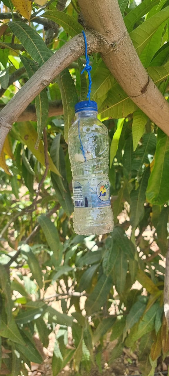 جانب من الحملة، فيتو