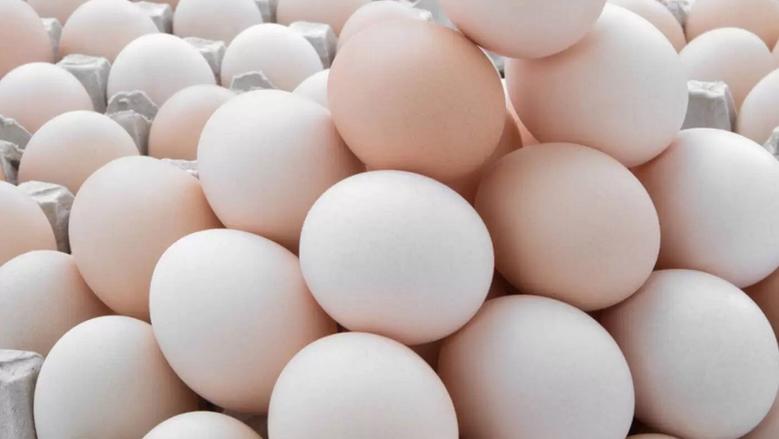 سعر كرتونة البيض اليوم الخميس في بورصة الدواجن، فيتو