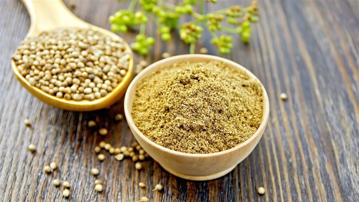 الكزبرة الناشفة