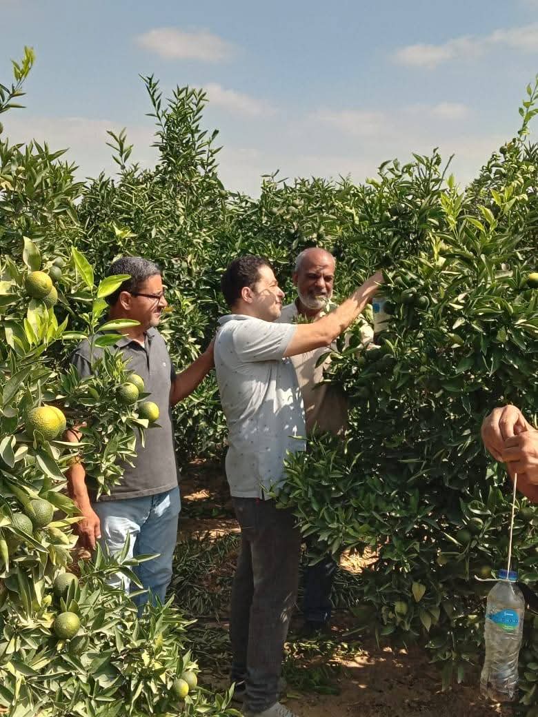 جانب من الحملات، فيتو