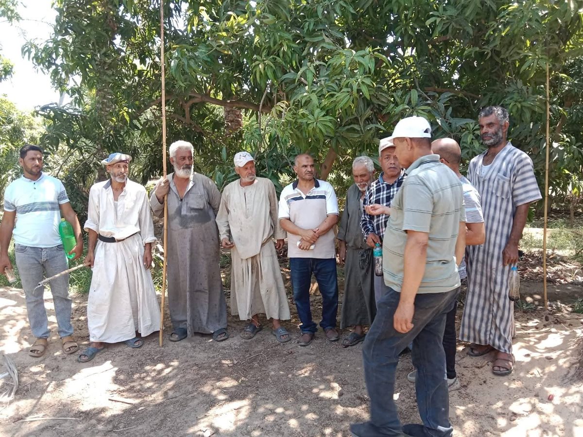 جانب من الحملات، فيتو