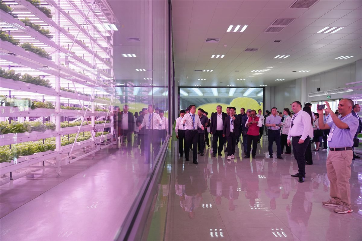مشاركون في منتدى منظمة شانغهاي للتعاون حول الحد من الفقر والتنمية المستدامة لعام 2025 يزورون قاعدة نموذجية للزراعة الذكية في يانغلينغ بمقاطعة شنشي في شمال غرب الصين في 19 مايو 2025. (شينخوا)