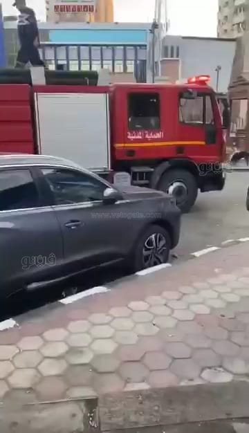 صرخة قطة تهز القلوب..والحماية المدنية بالشرقيةتنتشلها من الغرق ببحر مويس،فيتو