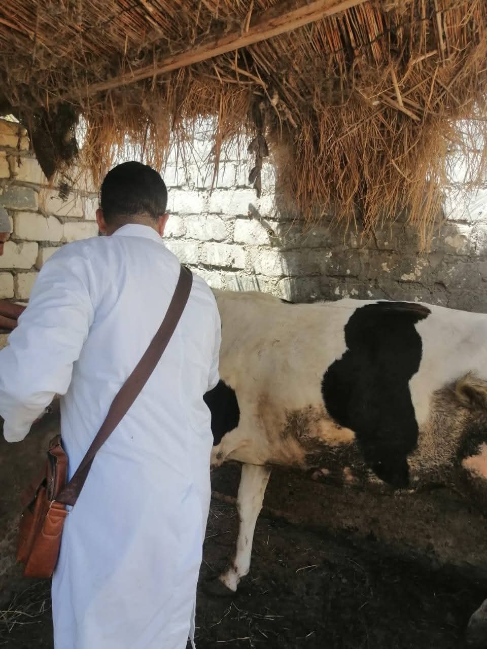 جانب من الحملات، فيتو