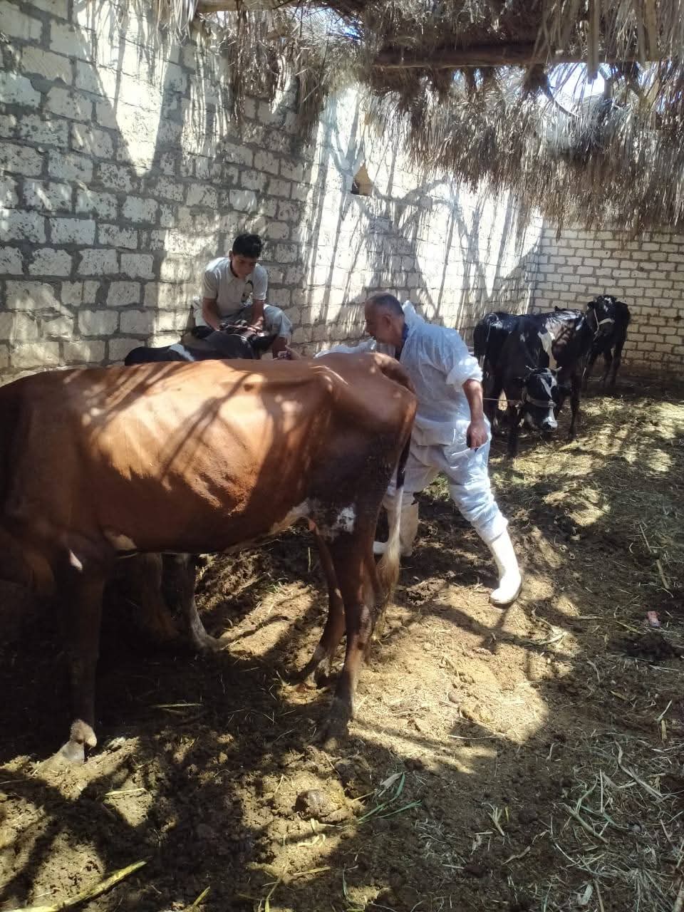 جانب من الحملات، فيتو