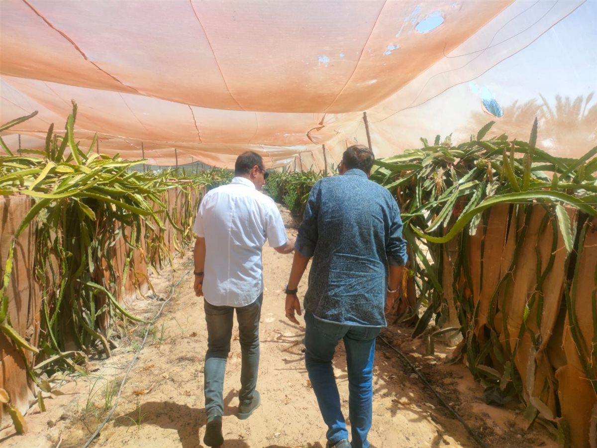 جانب من الجولة،فيتو