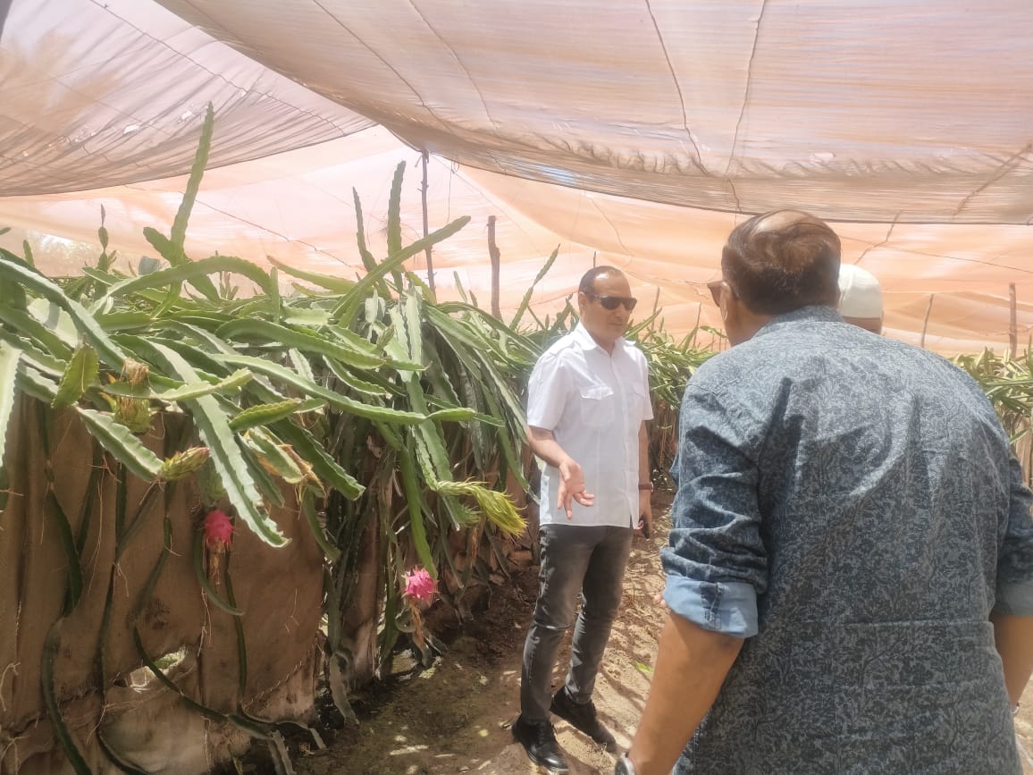 جانب من الجولة،فيتو