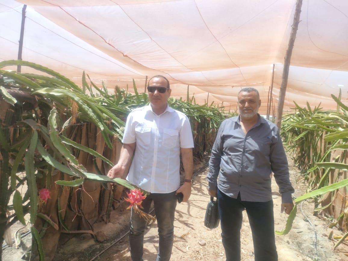 جانب من الجولة،فيتو