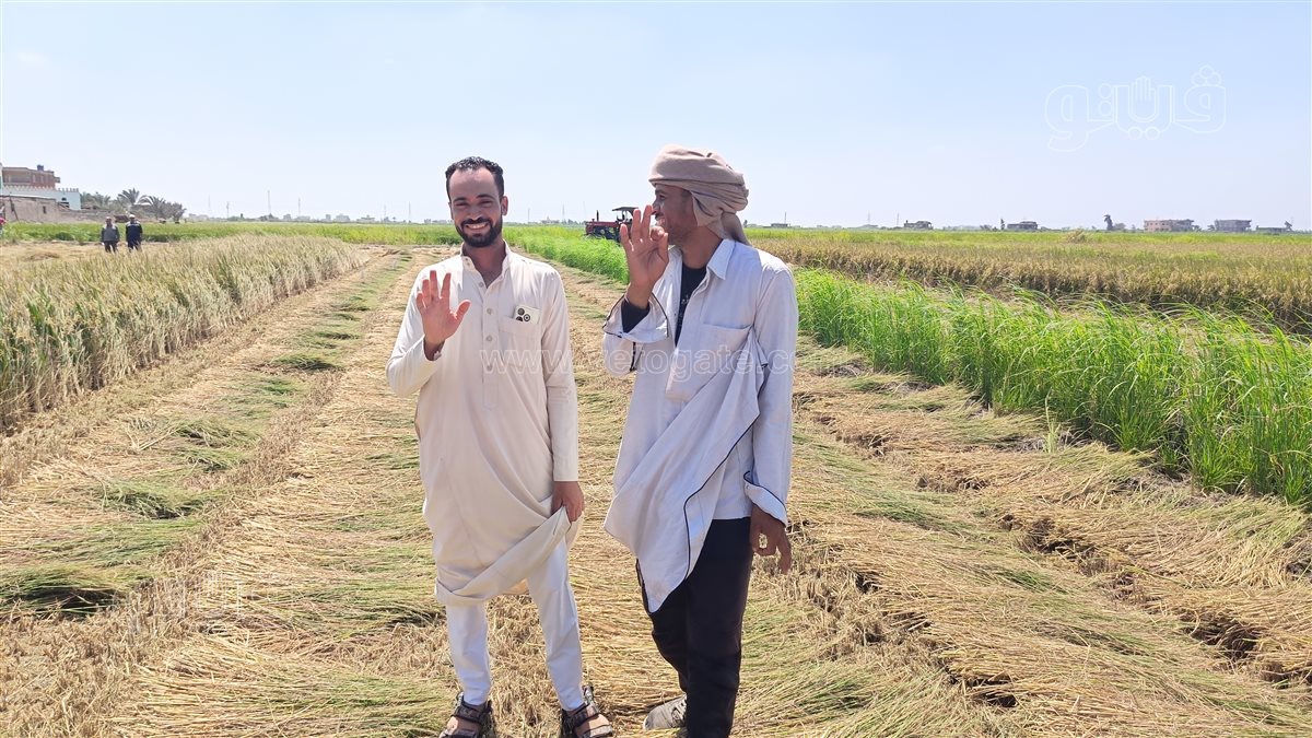 مزارعين جنوب بورسعيد، فيتو 