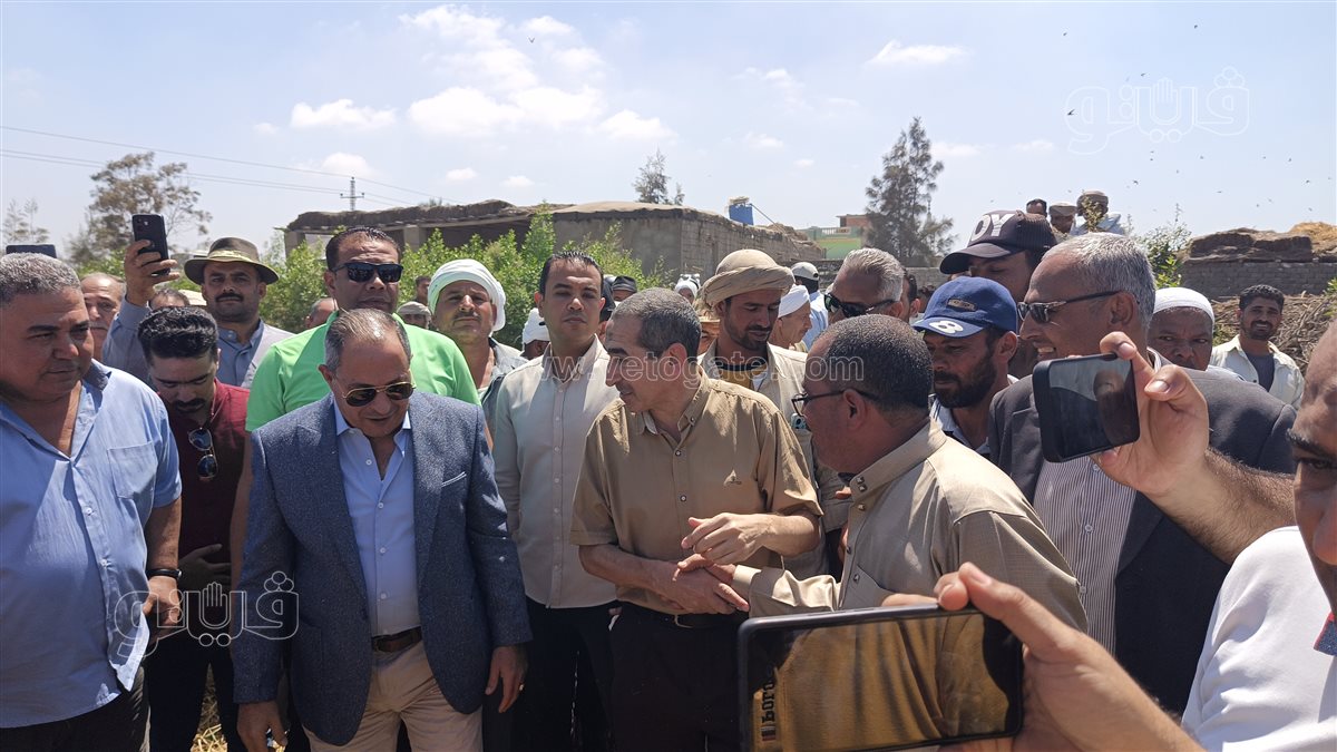 محافظ بورسعيد خلال موسم حصاد الأرز، فيتو 