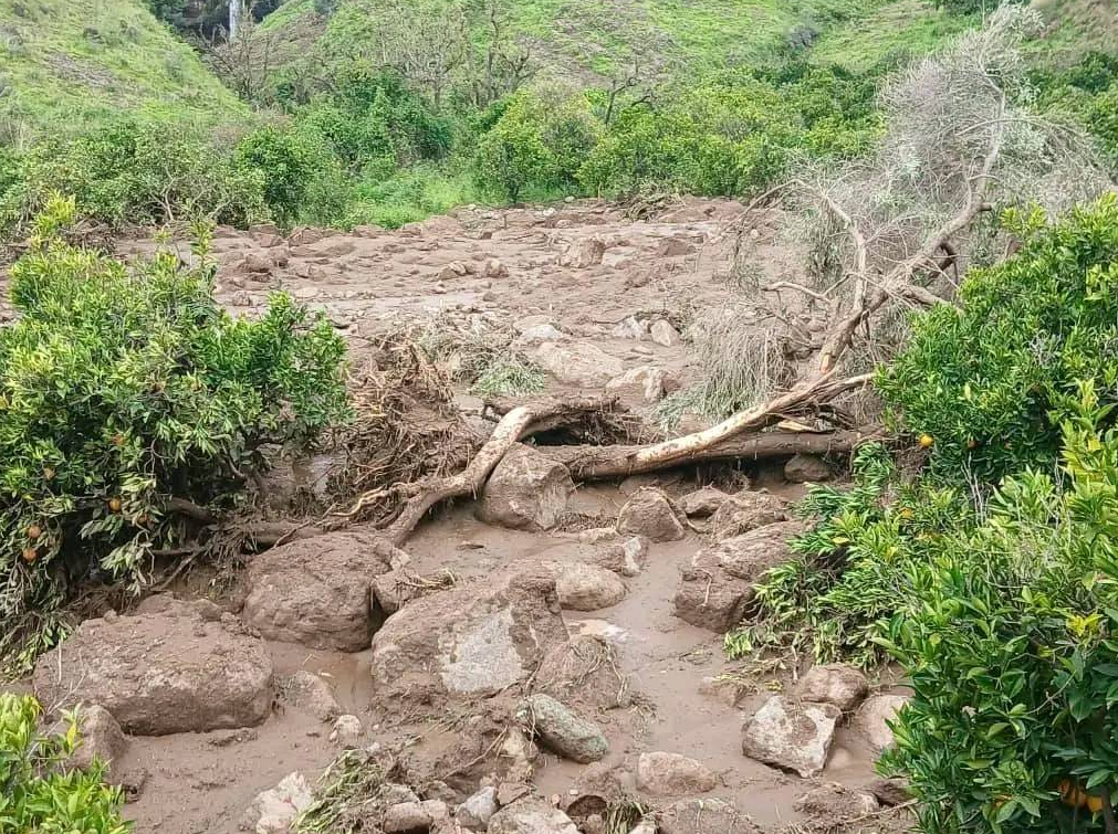 الانهيار ابتلع كل شيء حتى الأشجار، فيتو