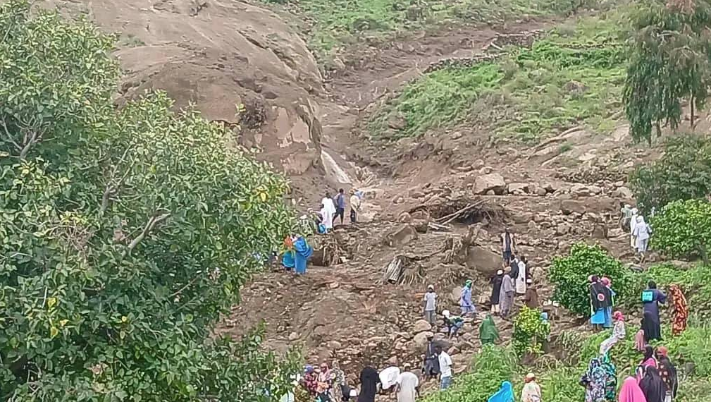 البحث عن ناجين تحت التراب، فيتو