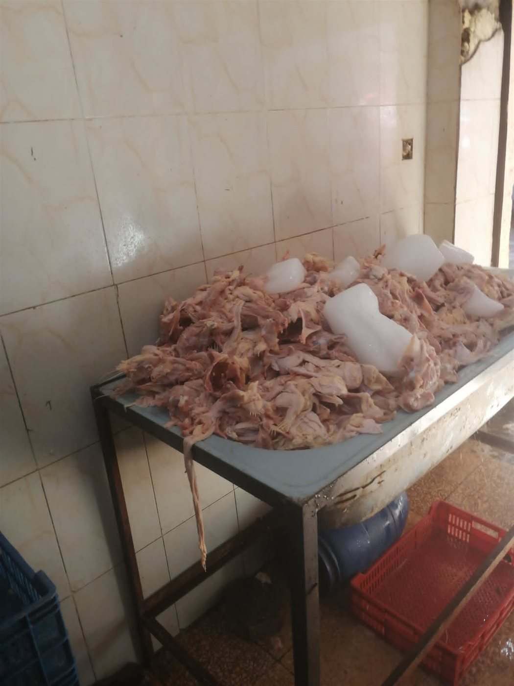 ضبط دواجن مجهولة المصدر بشبرا الخيمة،فيتو