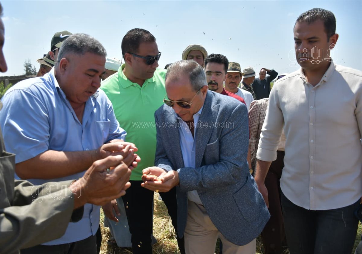 محافظ بورسعيد يشهد موسم حصاد الأرز، فيتو