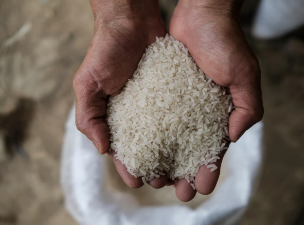 مصر تقدم الدعم العذائي لنحو 60 مليون مصري، فيتو