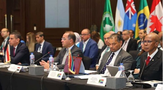 وزير المالية في إجتماع مجموعة العشرين بالقاهرة، فيتو