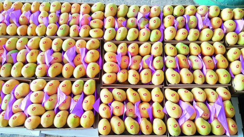 <strong>سعر المانجو اليوم في سوق العبور، فيتو</strong>