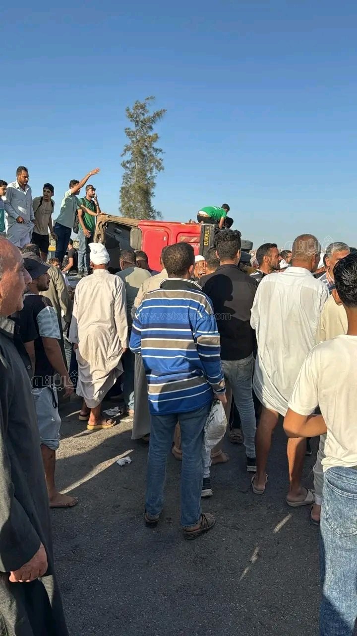 حوادث الطرق،فيتو