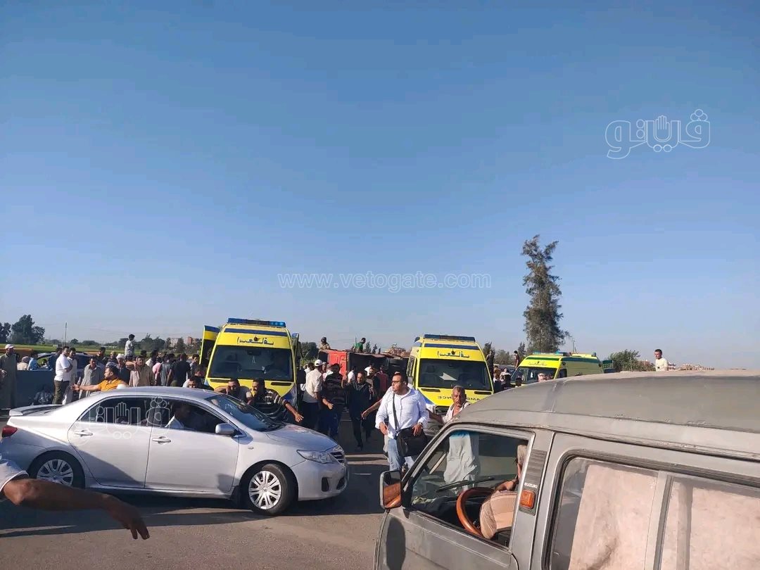 حوادث الطرق،فيتو