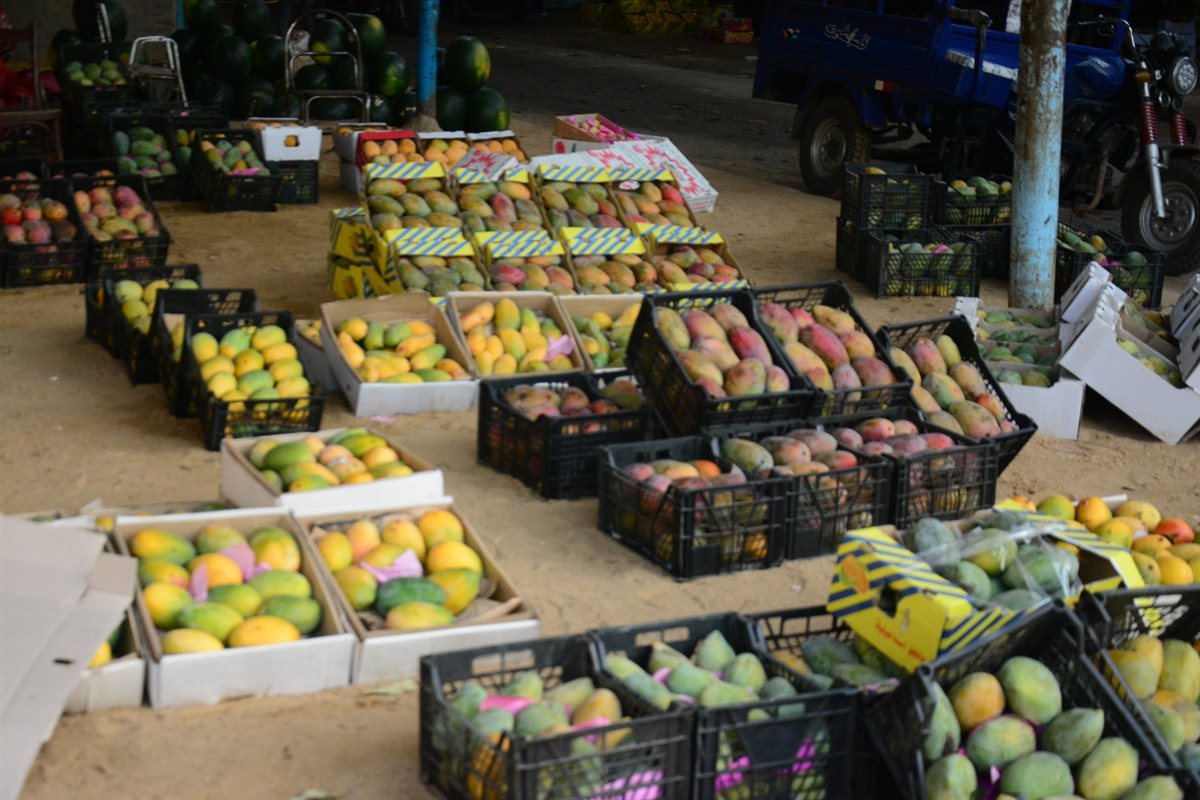 <strong>سعر المانجو اليوم في سوق العبور، فيتو</strong>