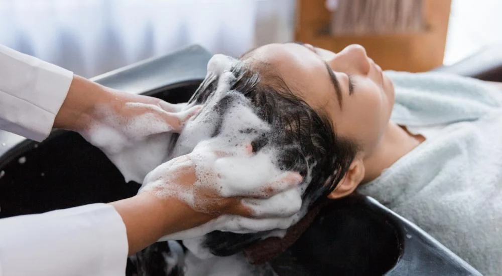 الشامبو العادي