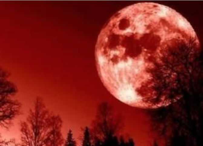 القمر الدموي، فيتو