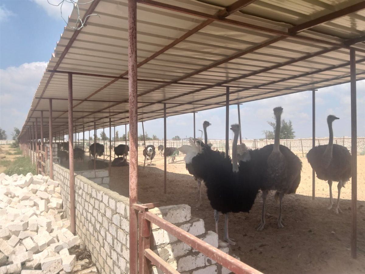 جانب من الجولة، فيتو