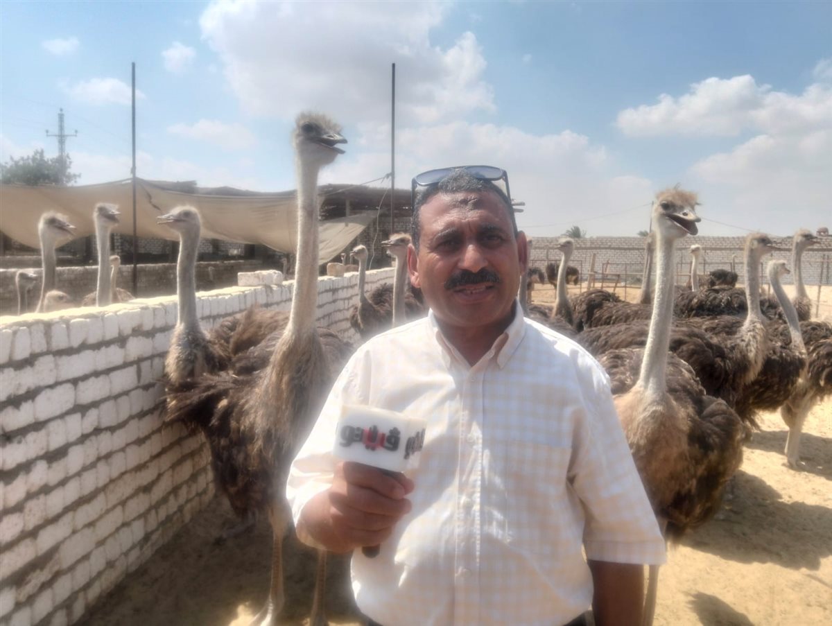 جانب من الجولة، فيتو