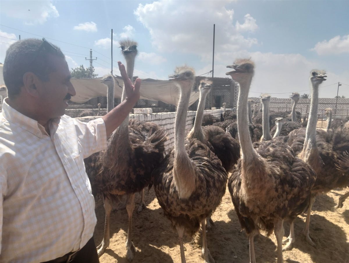 جانب من الجولة، فيتو