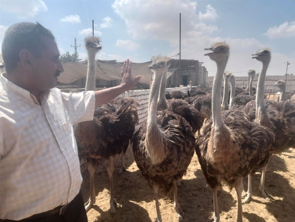 جانب من الجولة، فيتو