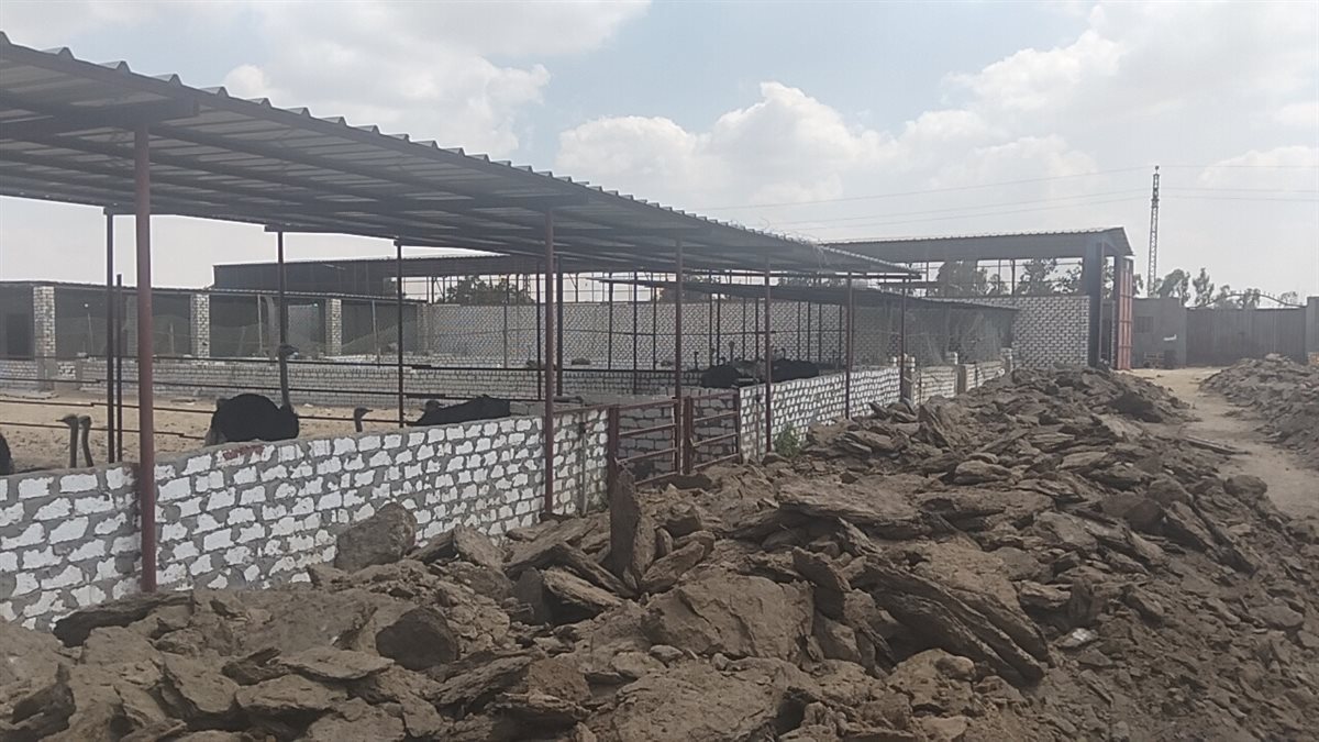 جانب من الجولة، فيتو