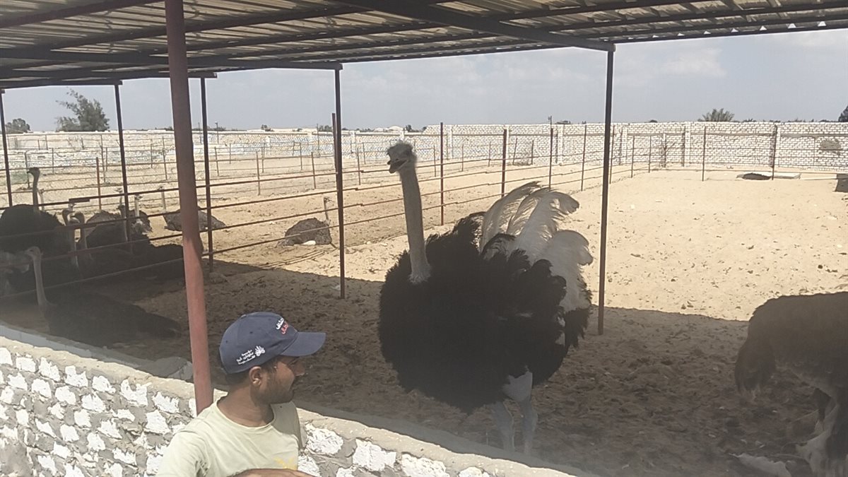 جانب من الجولة، فيتو