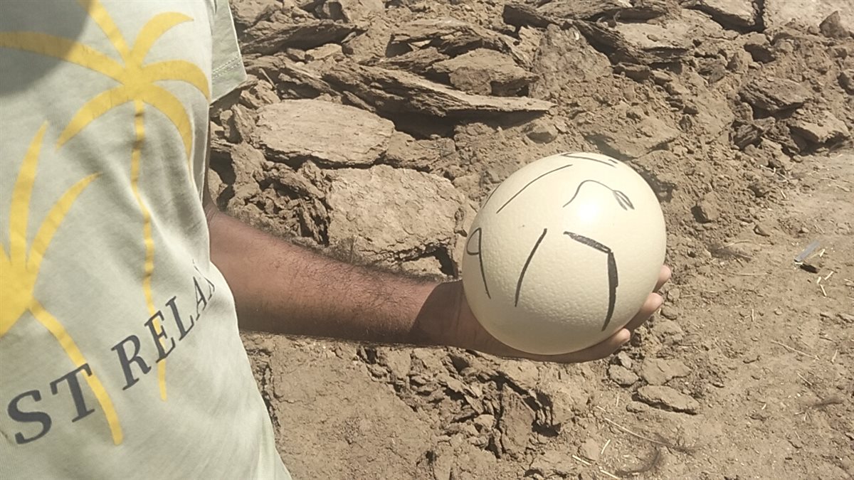 جانب من الجولة، فيتو