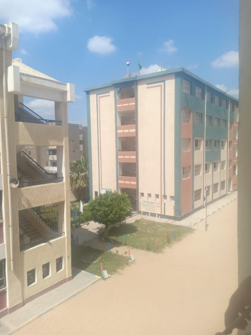 مدارس الإسماعيلية، فيتو