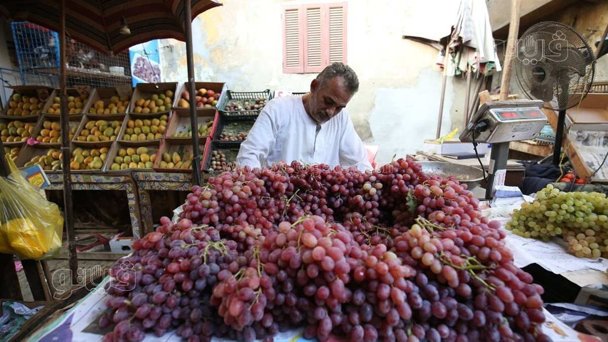 <strong>سعر الفاكهة اليوم</strong>