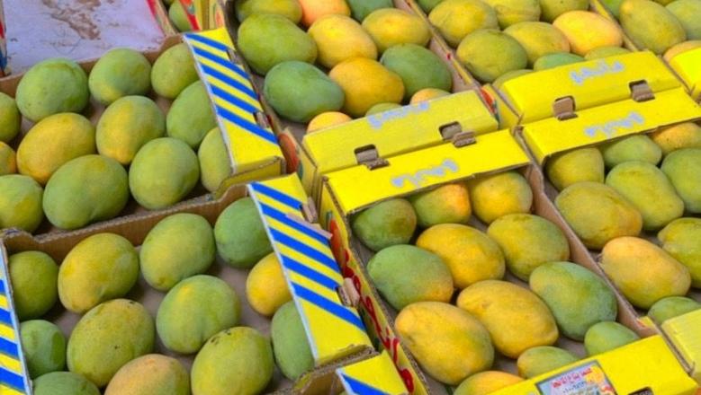 <strong>سعر المانجو اليوم في سوق العبور، فيتو</strong>