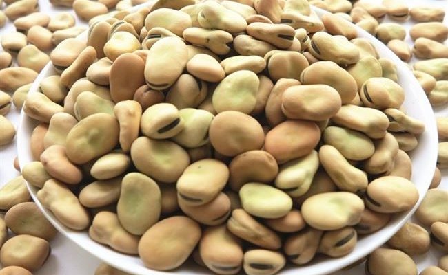 اسعار الفول والعدس اليوم، فيتو