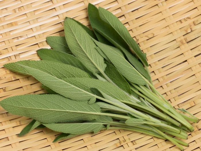 المرمرية وفوائدها