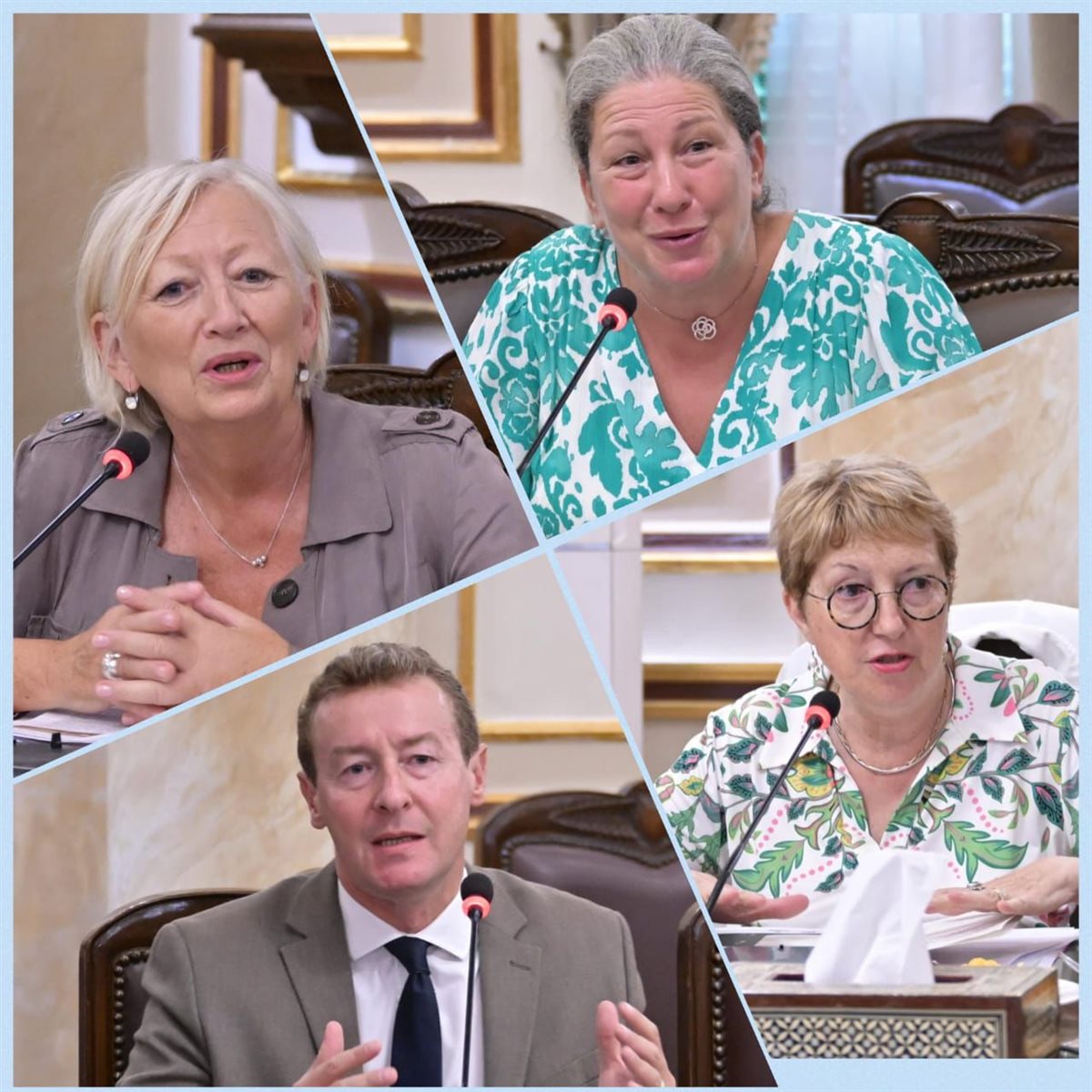 وفد مجلس الشيوخ الفرنسي بجامعة القاهرة 