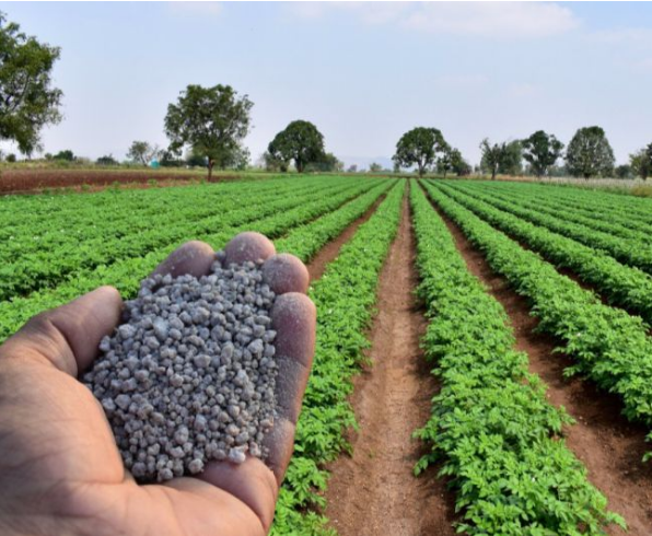 الأسمدة النيتروجينة لا غني عنها في الزراعة، فيتو