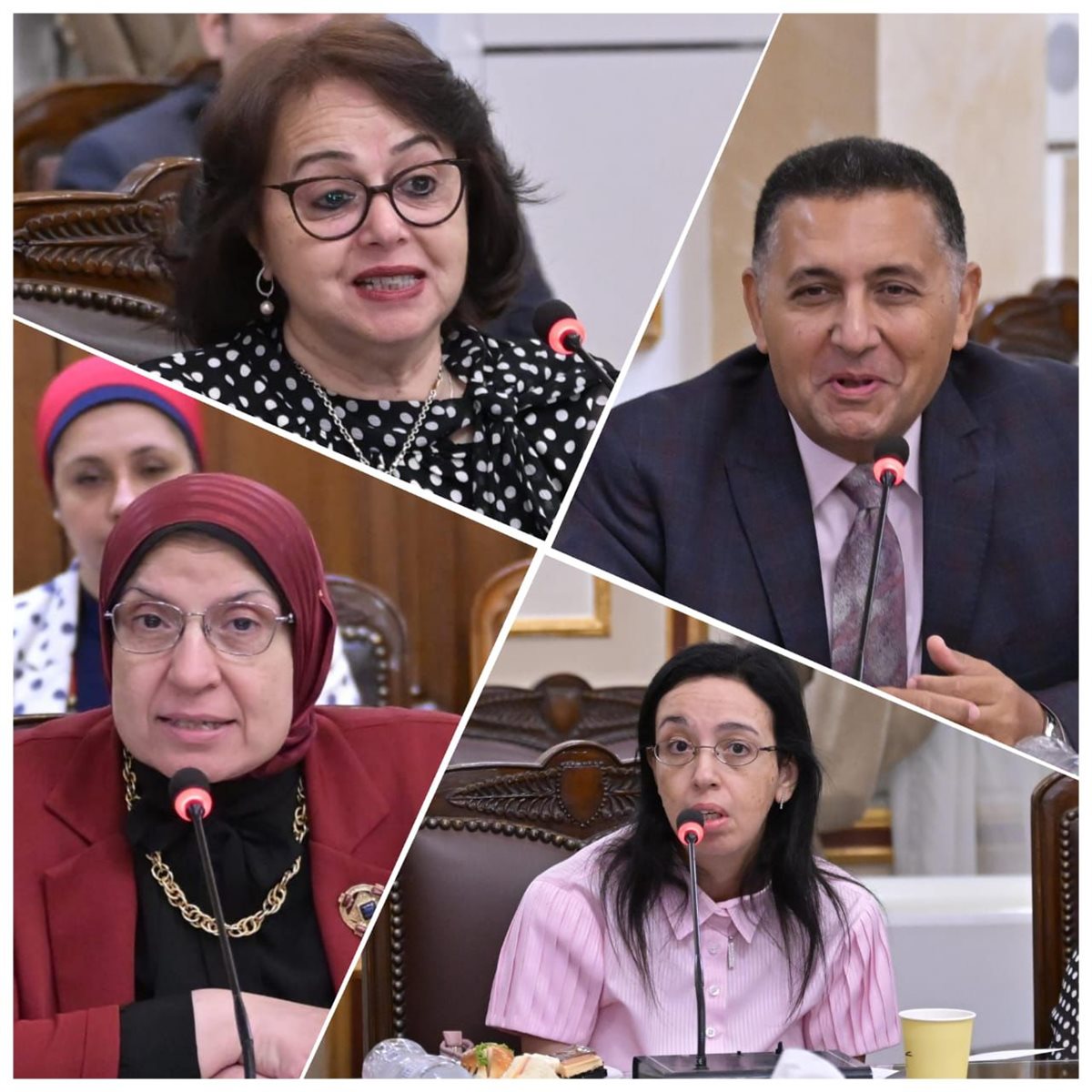 وفد مجلس الشيوخ الفرنسي بجامعة القاهرة