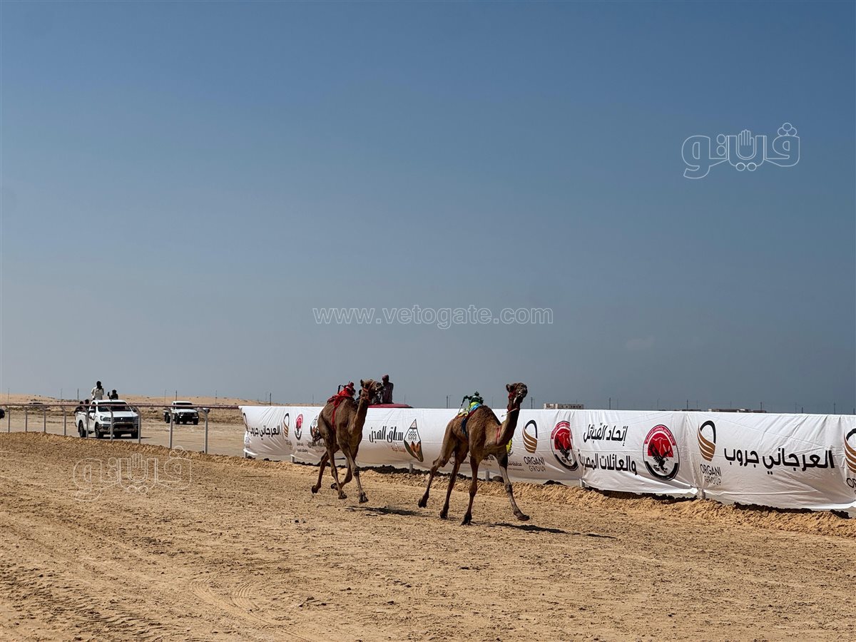 603fded7-34c6-4123-9a6f-08323f4fea56