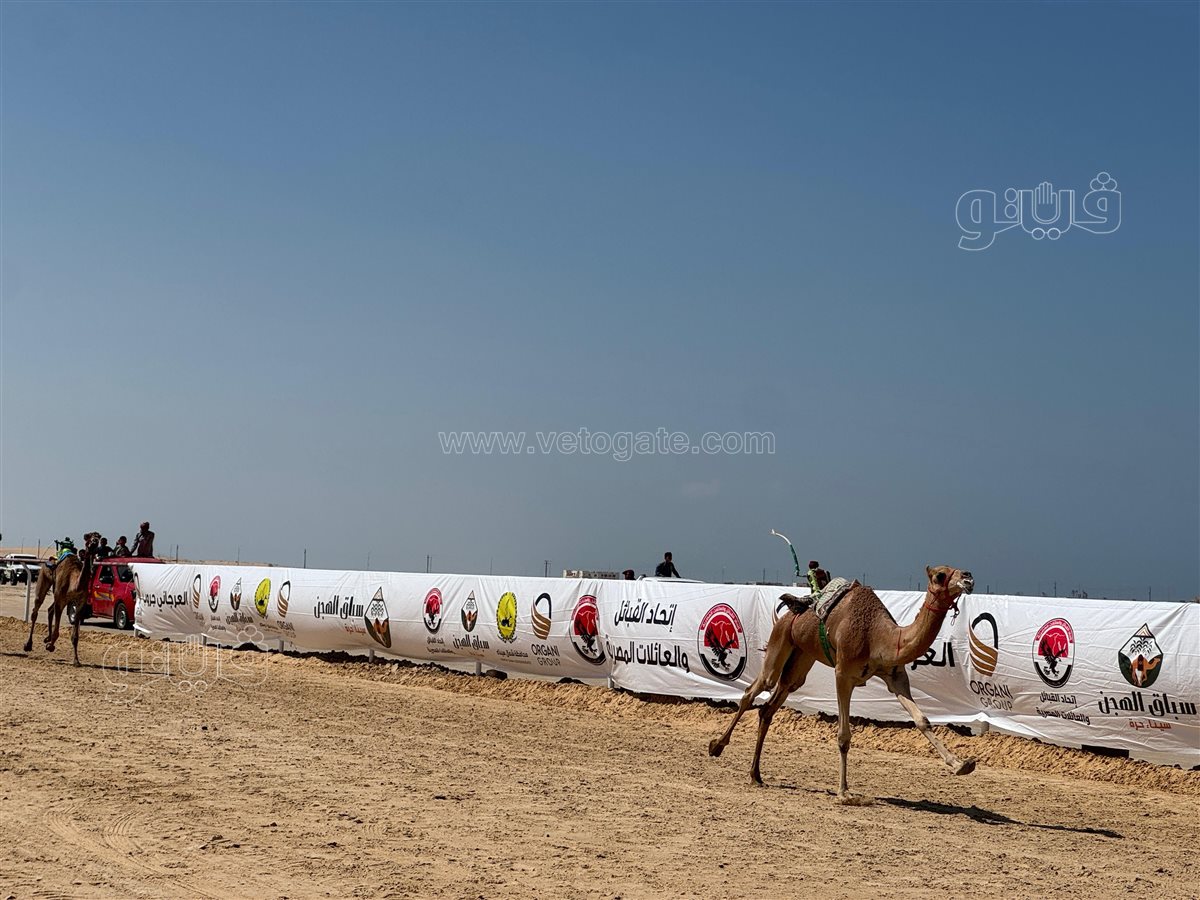 0474e447-ab23-415d-9646-c209582614f0