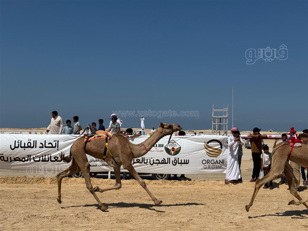 eb2f642b-9f82-47d4-a01c-065bdc4842e8