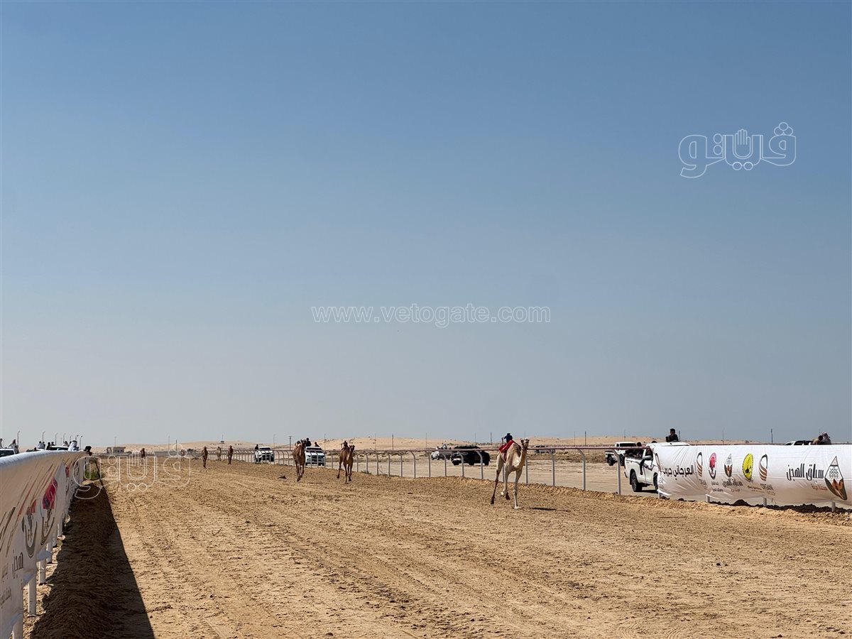 90f124a3-67c6-4c50-845d-61bc8f2025e8