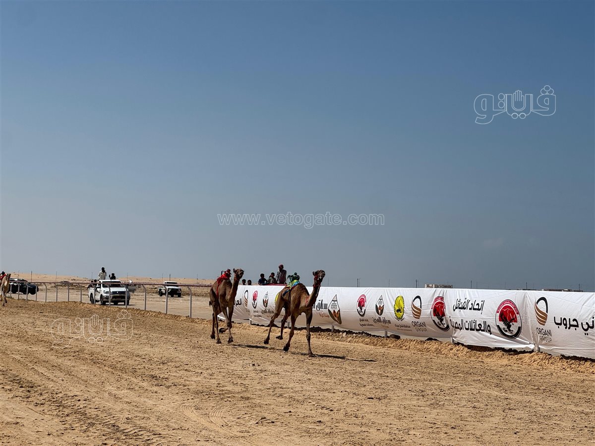 83458a94-be82-442e-9e75-a73531c3e35f