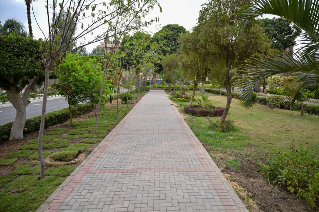 تطوير حرم جامعة القاهرة