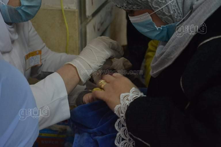 انطلاق حملة التطعيم ضد شلل الأطفال في الجيزة (15)