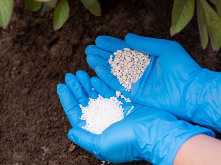 <strong>أسعار الأسمدة اليوم، فيتو</strong>